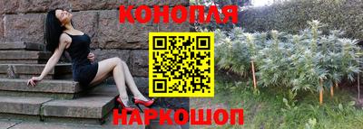 Альфа ПВП Малгобек
