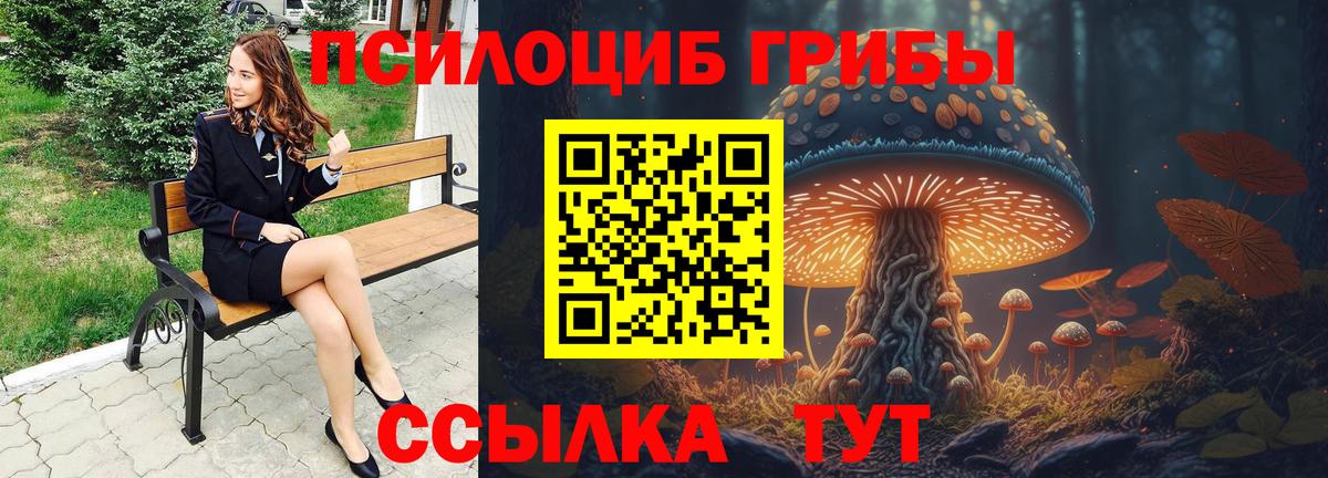 Тольятти  Псилоцибиновые грибы Psilocybine cubensis  Вход с VPN  Псилоцибиновые грибы прущие грибы 